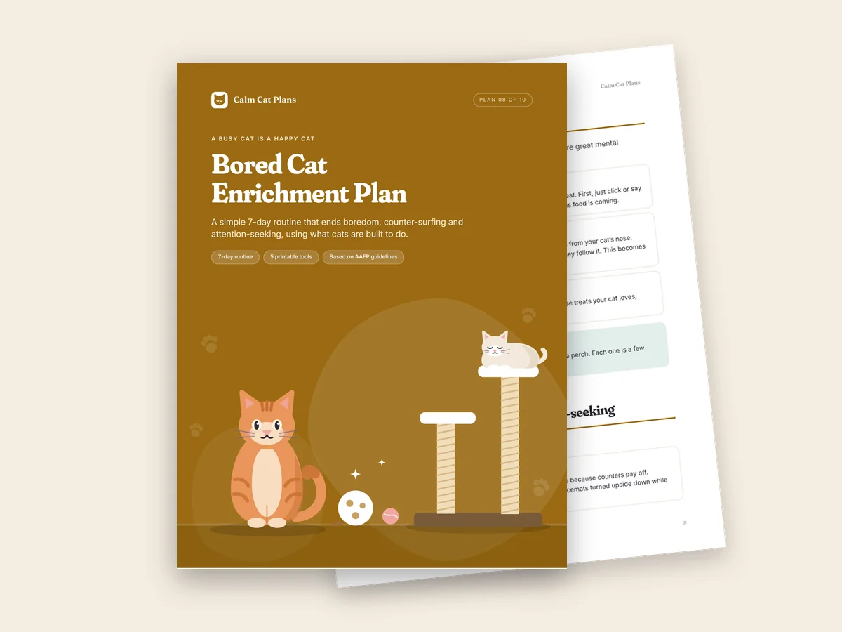 The Bored Cat Enrichment Plan cover and an inside page