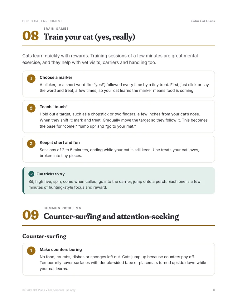 A step-by-step page