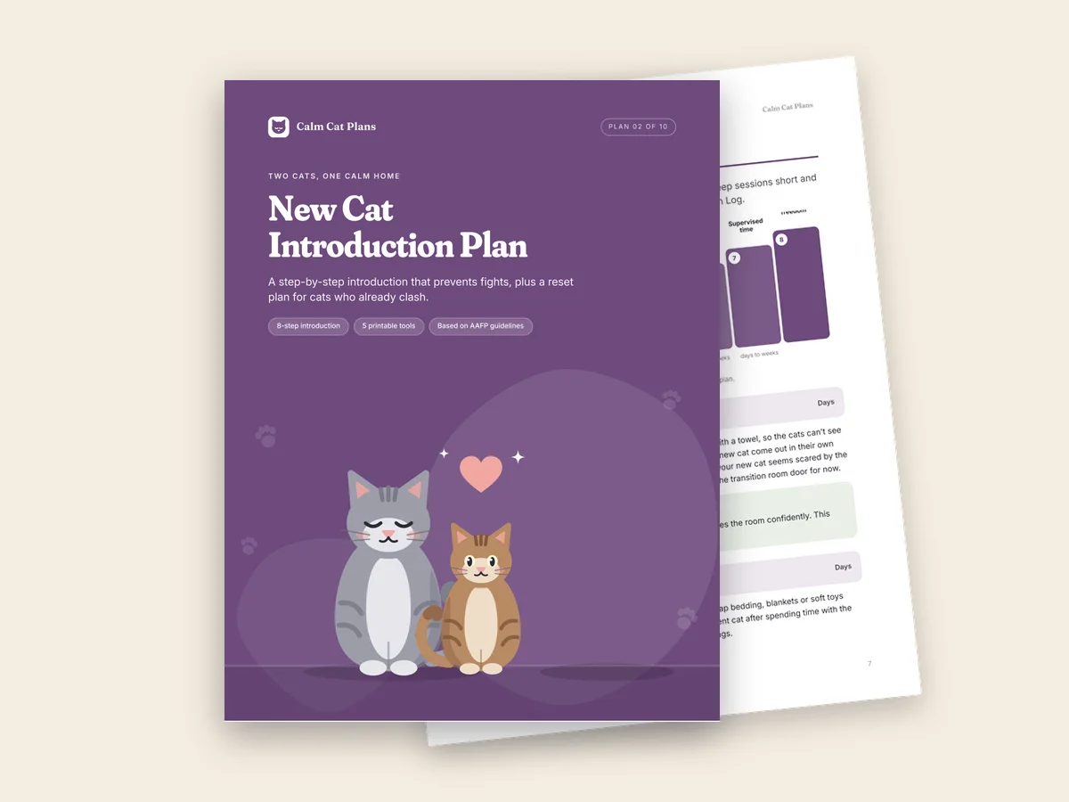The New Cat Introduction Plan cover and an inside page