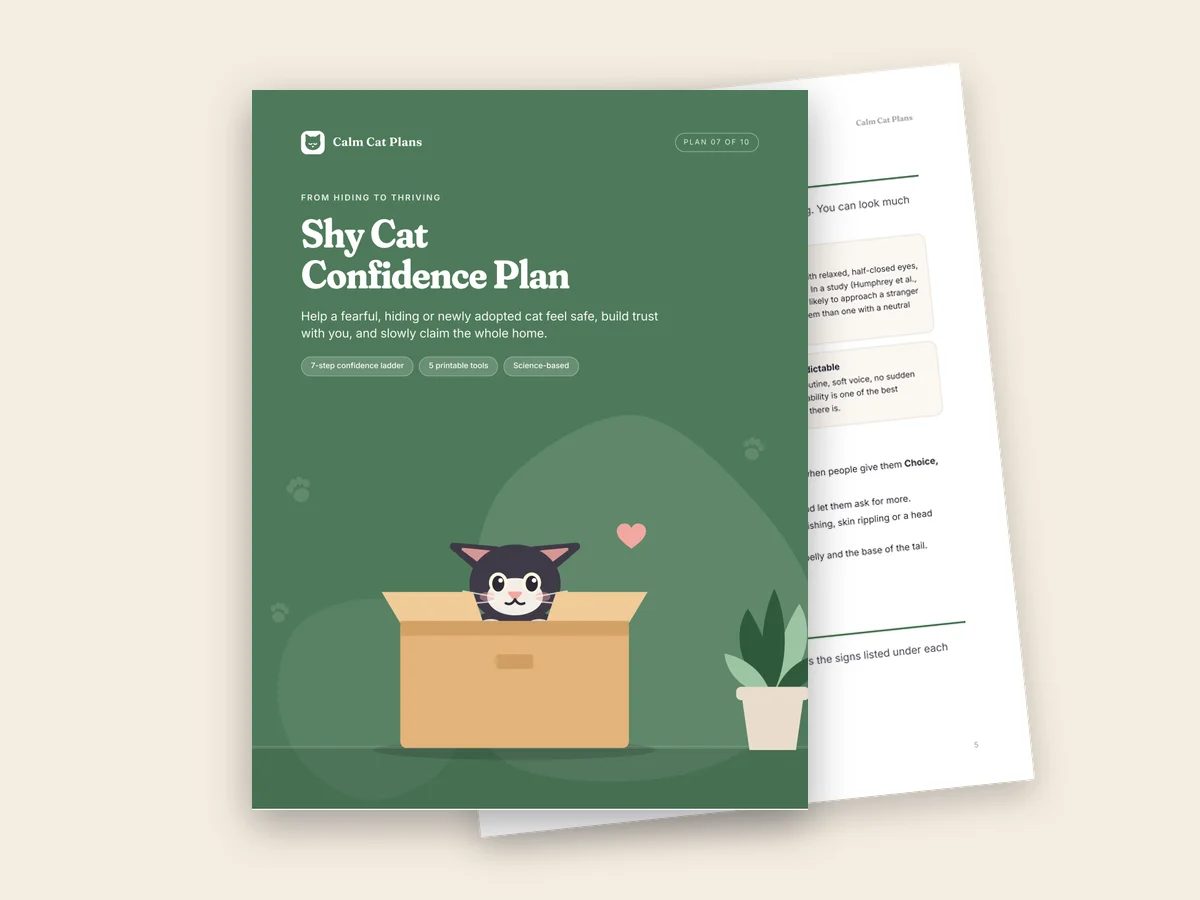 The Shy Cat Confidence Plan cover and an inside page