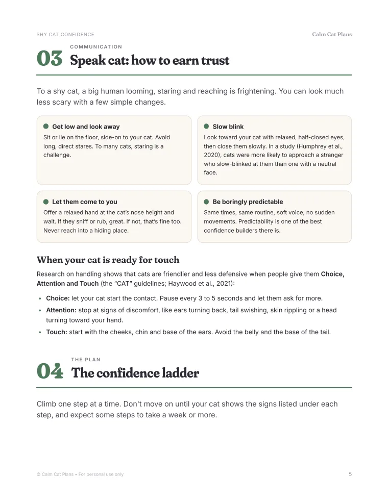 A step-by-step page